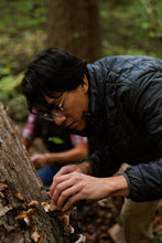 Load image into Gallery viewer, Memphis Mushroom Festival 3 Day Full Pass Nov 3, 4 &, 5, 2023