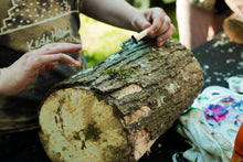 Load image into Gallery viewer, Memphis Mushroom Festival 3 Day Full Pass Nov 3, 4 &, 5, 2023