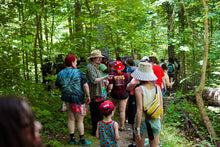 Load image into Gallery viewer, Memphis Mushroom Festival 3 Day Full Pass Nov 3, 4 &, 5, 2023