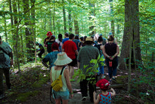 Load image into Gallery viewer, Memphis Mushroom Festival 3 Day Full Pass Nov 3, 4 &, 5, 2023