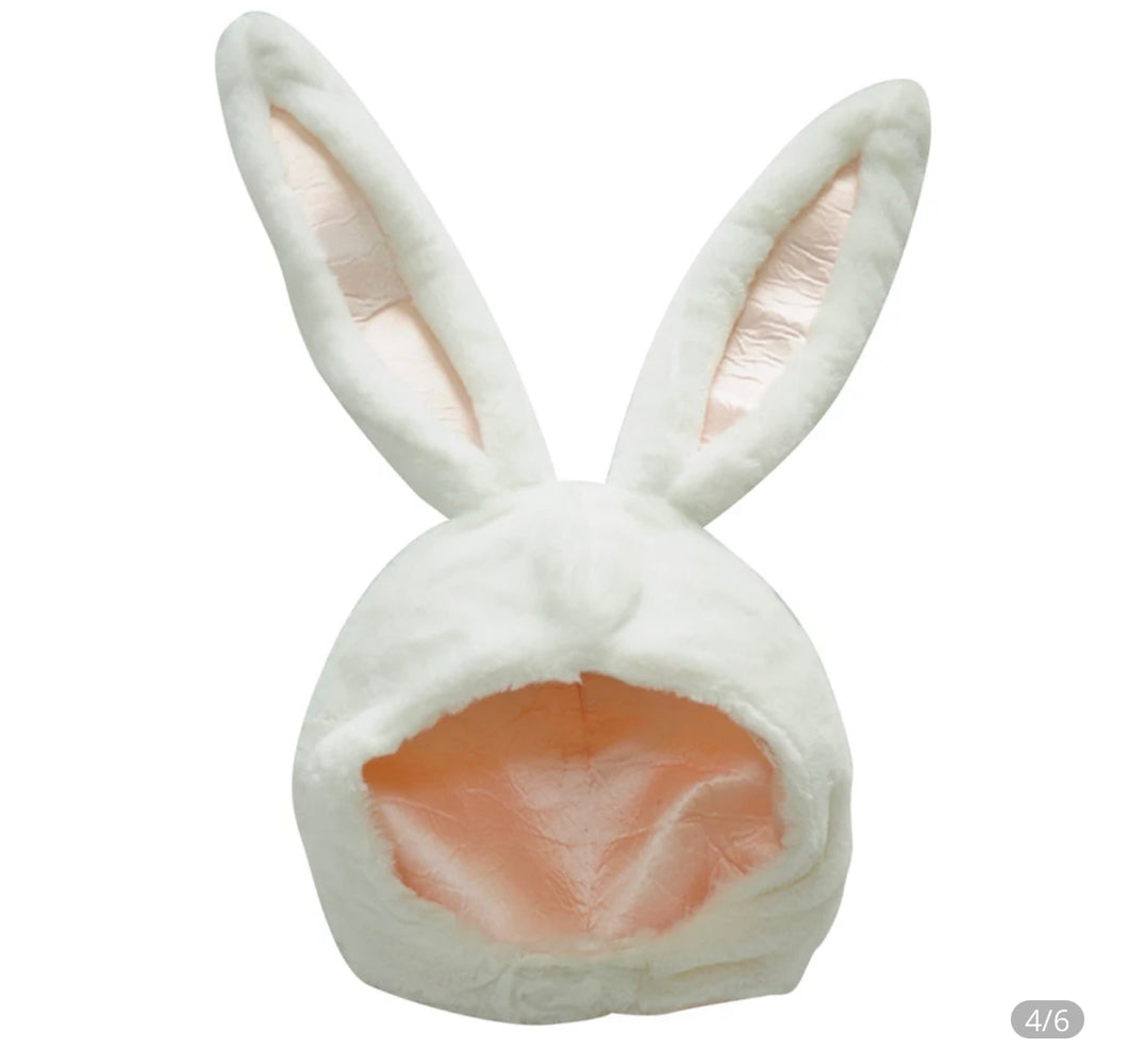 Rabbit Ear Hat