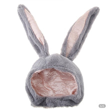 Load image into Gallery viewer, Rabbit Ear Hat
