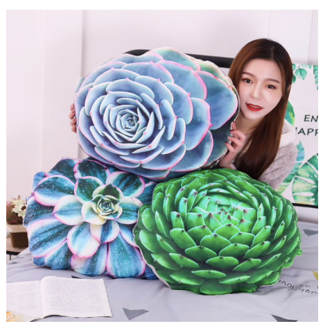 Succulent Pillows